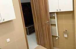 Apartament 3 camere, 112 mp, prima inchiriere, parcare, zona Parcului Central