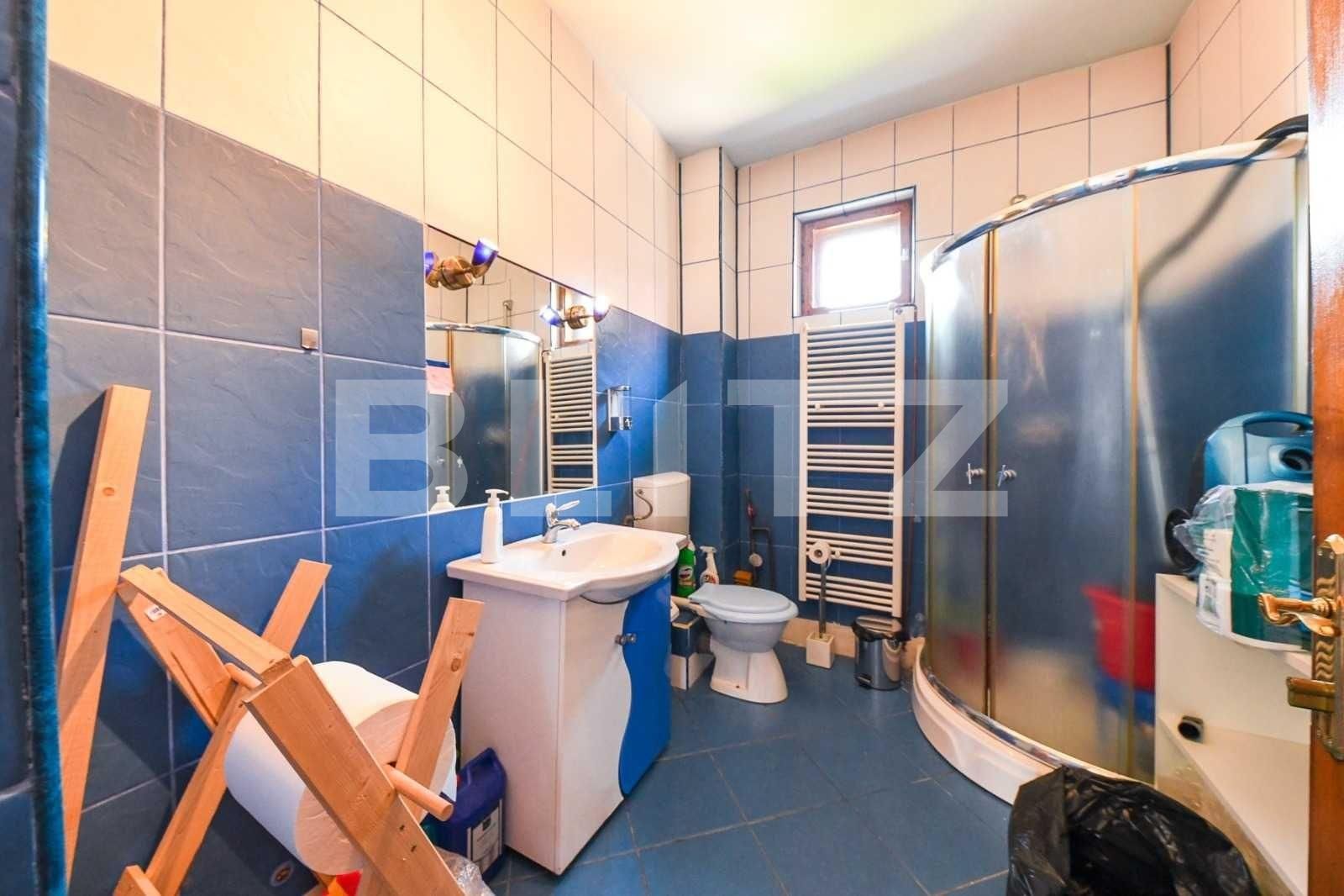 Spațiu birouri de închiriat Andrei Mureşanu - 35881SIB | BLITZ Cluj-Napoca | Poza6