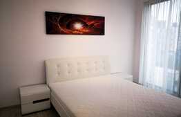 Apartament 2 camere, 60mp, balcon, mobilat lux, zona Iulius Mall
