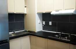 Apartament 2 camere, 60mp, balcon, mobilat lux, zona Iulius Mall