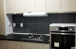 Apartament 2 camere, 60mp, balcon, mobilat lux, zona Iulius Mall