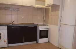 Apartament 2 camere, 43 mp, mobilat modern, zona Kaufland