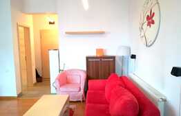 Apartament 2 camere, mobilat si utilat modern, zona Avram Iancu