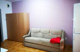 Apartament 2 camere, 50 mp, mobilat si utilat, zona Garii!