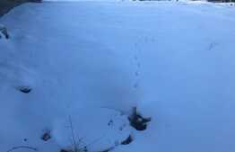 Oportunitate ! Teren de vanzare, 840 mp, Zona ANL ! 