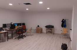 Hala moderna cu acces din DN