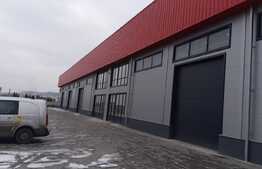Hala moderna cu acces din DN