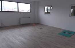 Hala moderna cu acces din DN