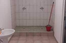 Hala moderna cu acces din DN