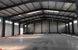 Hala moderna cu acces din DN