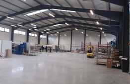 Hala moderna cu acces din DN