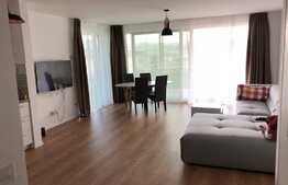 Apartament 2 camere, 50 mp, gradina 250 mp, garaj, terasa, zona strazii Vanatorului!