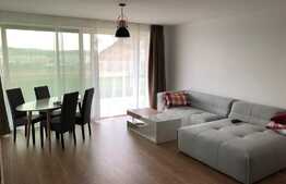 Apartament 2 camere, 50 mp, gradina 250 mp, garaj, terasa, zona strazii Vanatorului!