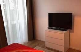 Apartament 2 camere, 50 mp, gradina 250 mp, garaj, terasa, zona strazii Vanatorului!