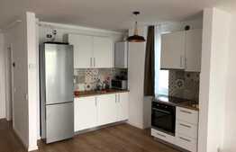 Apartament 2 camere, 50 mp, gradina 250 mp, garaj, terasa, zona strazii Vanatorului!