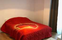 Apartament 2 camere, 50 mp, gradina 250 mp, garaj, terasa, zona strazii Vanatorului!