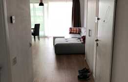 Apartament 2 camere, 50 mp, gradina 250 mp, garaj, terasa, zona strazii Vanatorului!