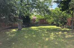 Oportunitate! Casa individuala la 5 minute de centru, 220 mp, 670 mp teren, zona insorita de case!