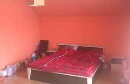 Oportunitate! Casa individuala la 5 minute de centru, 220 mp, 670 mp teren, zona insorita de case!