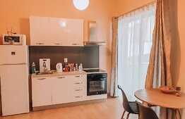 Apartament 1 camera, 34 mp, zona USAMV!