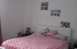 De vanzare casa tip duplex,  la cheie, 140 mp utili, 210 teren, Exterior Est!