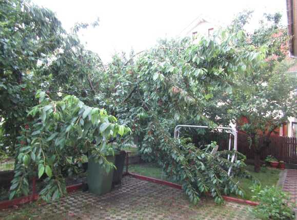 Casa de vânzare 5 camere Apahida - 35947CV | BLITZ Cluj-Napoca | Poza17