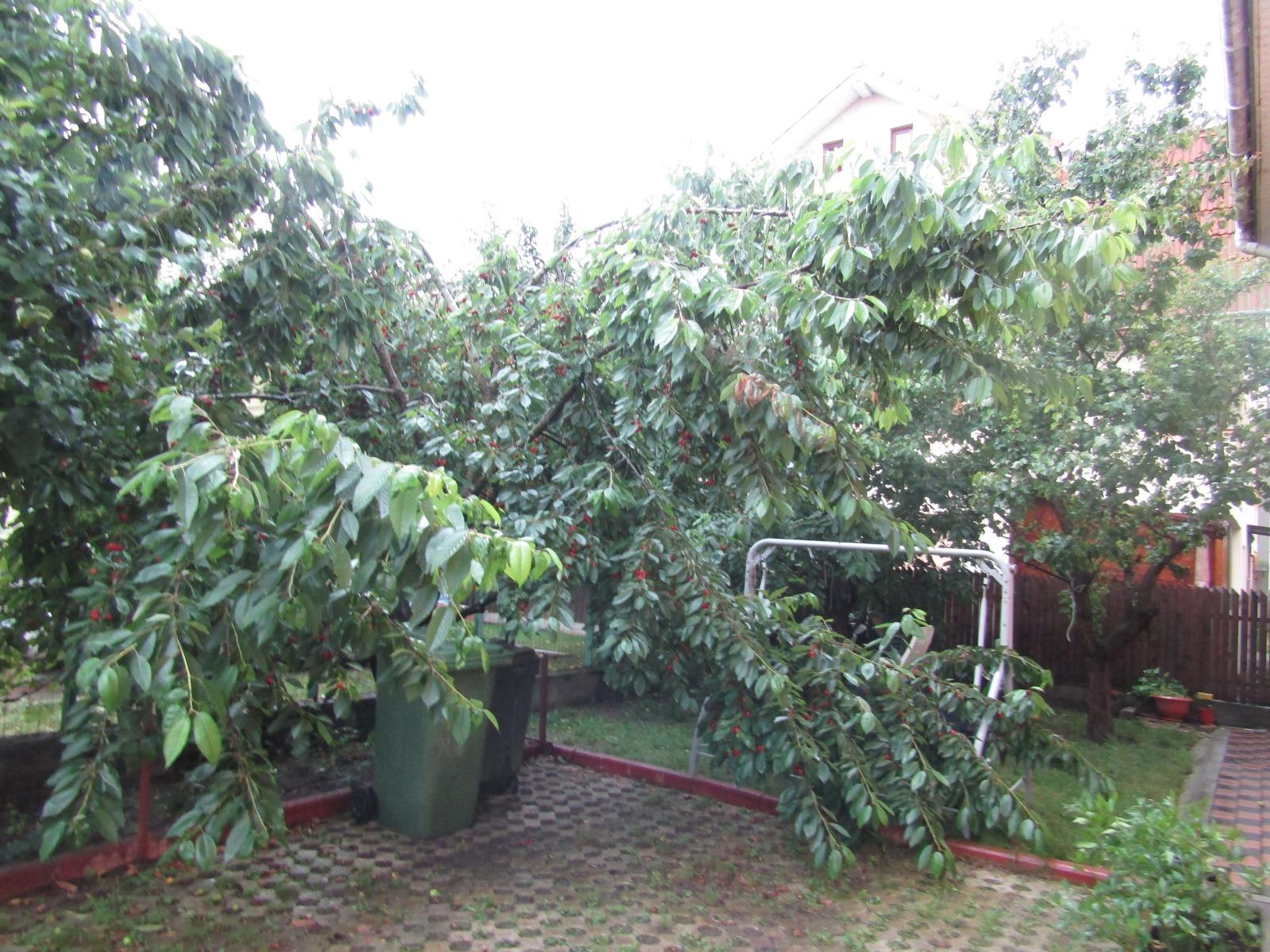 Casa de vânzare 5 camere Apahida - 35947CV | BLITZ Cluj-Napoca | Poza17