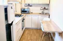 De vanzare apartament 1 camera, 38 mp, zona strazii Fanatanele!