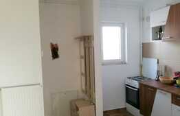 Garsoniera, 32 mp, terasa 20 mp, mobilata si utilata! Parcare! Zona strazii Tineretului!