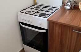 Garsoniera, 32 mp, terasa 20 mp, mobilata si utilata! Parcare! Zona strazii Tineretului!