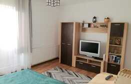 Garsoniera, 32 mp, terasa 20 mp, mobilata si utilata! Parcare! Zona strazii Tineretului!