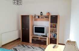 Garsoniera, 32 mp, terasa 20 mp, mobilata si utilata! Parcare! Zona strazii Tineretului!