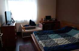 Apartament 3 camere, gradina 70 mp, zona strazii Ciocarliei