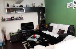 Apartament 3 camere, gradina 70 mp, zona strazii Ciocarliei