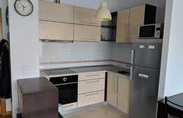 Apartament 2 camere, 40 mp,  parcare, mobilat modern, zona Iullius Mall!