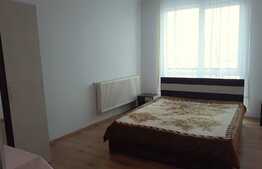 Apartament 2 camere, 44 mp, etaj intermediar, zona Garii