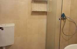 Apartament 2 camere, 44 mp, etaj intermediar, zona Garii