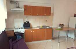 Apartament 2 camere, 44 mp, etaj intermediar, zona Garii