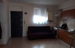 Apartament 2 camere, 44 mp, etaj intermediar, zona Garii