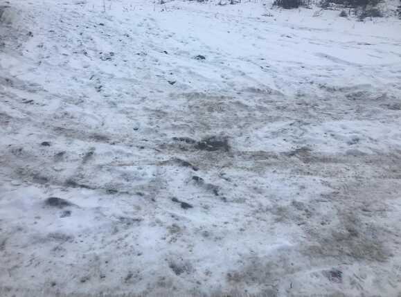 Teren de vânzare Floreşti - 35990TV | BLITZ Cluj-Napoca | Poza1