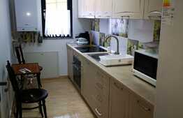  2 camere, 60mp, gradina 100mp, parcare, mobilat modern, zona strazii Buna Ziua!