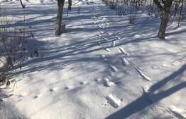 Teren de vanzare, 700 mp, front de 20 m, zona Terra ! 