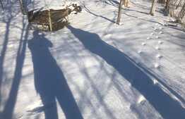 Teren de vanzare, 700 mp, front de 20 m, zona Terra ! 