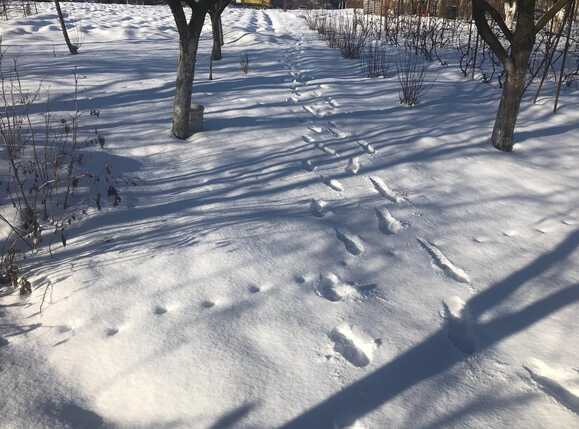 Teren de vânzare Floreşti - 36009TV | BLITZ Cluj-Napoca | Poza1