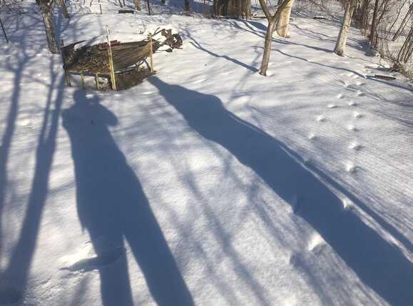 Teren de vânzare Floreşti - 36009TV | BLITZ Cluj-Napoca | Poza2