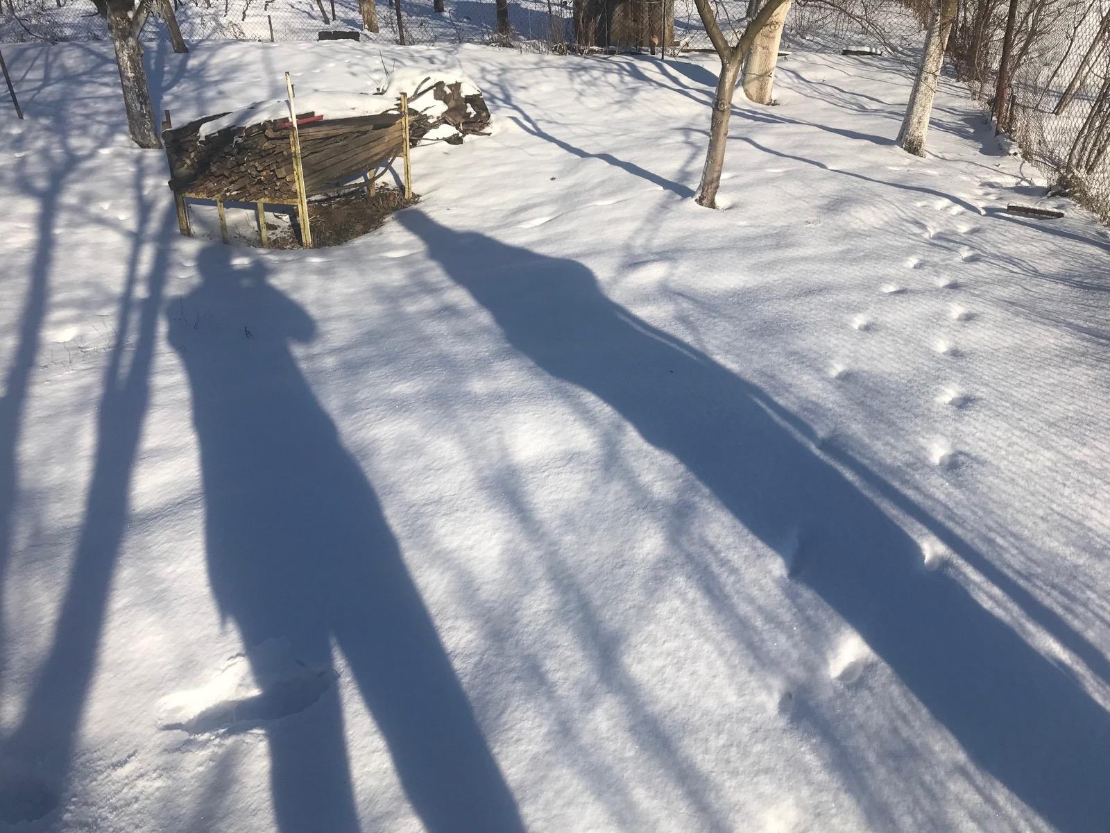 Teren de vânzare Floreşti - 36009TV | BLITZ Cluj-Napoca | Poza2