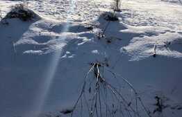 Teren de vanzare, 2800 mp, certificat urbanism, zona Teilor ! 