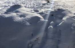 Teren de vanzare, 2800 mp, certificat urbanism, zona Teilor ! 