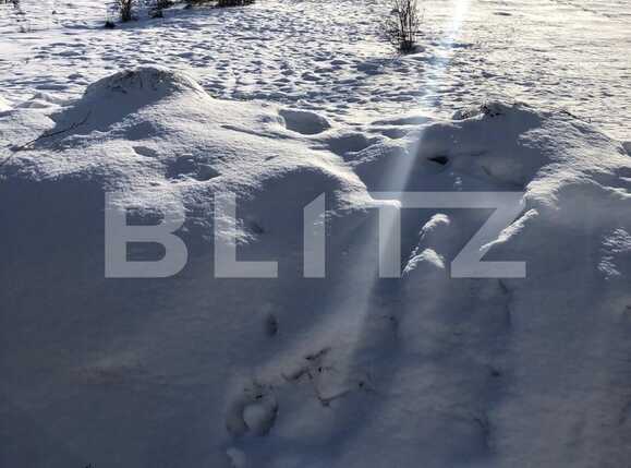 Teren de vânzare Floreşti - 36027TV | BLITZ Cluj-Napoca | Poza2