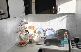 Garsoniera de vanzare, 25 mp, zona Bulevardul Muncii